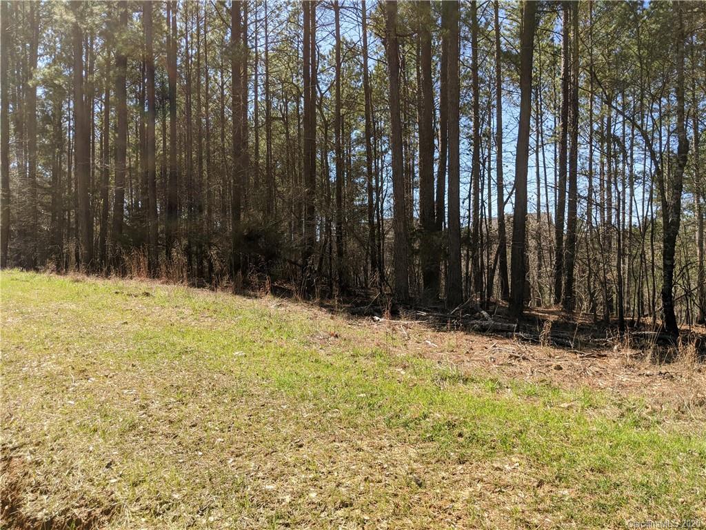 4610 Rinaldo Road, Unit 1 York, SC 29745 - Photo 4 of 8 Gallery Image 4