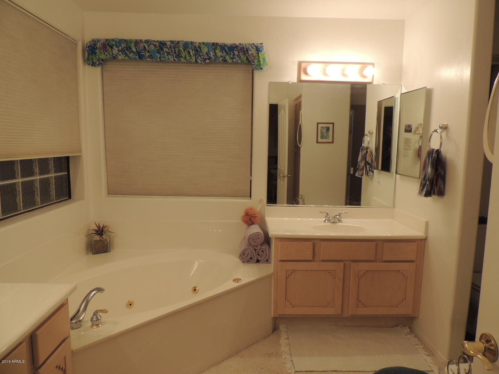 1069 North Cortez Road Apache Junction, AZ 85119 - Photo 15 of 25 Master Bath