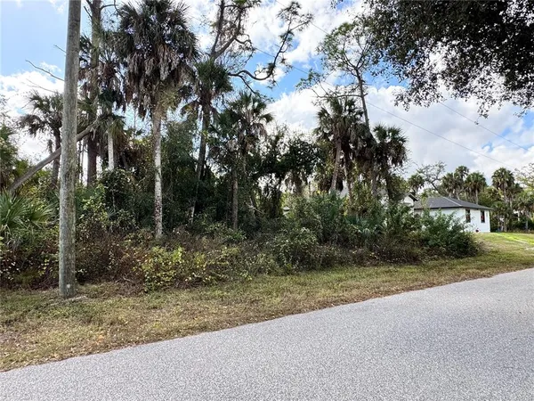 a view of a yard with plants and trees