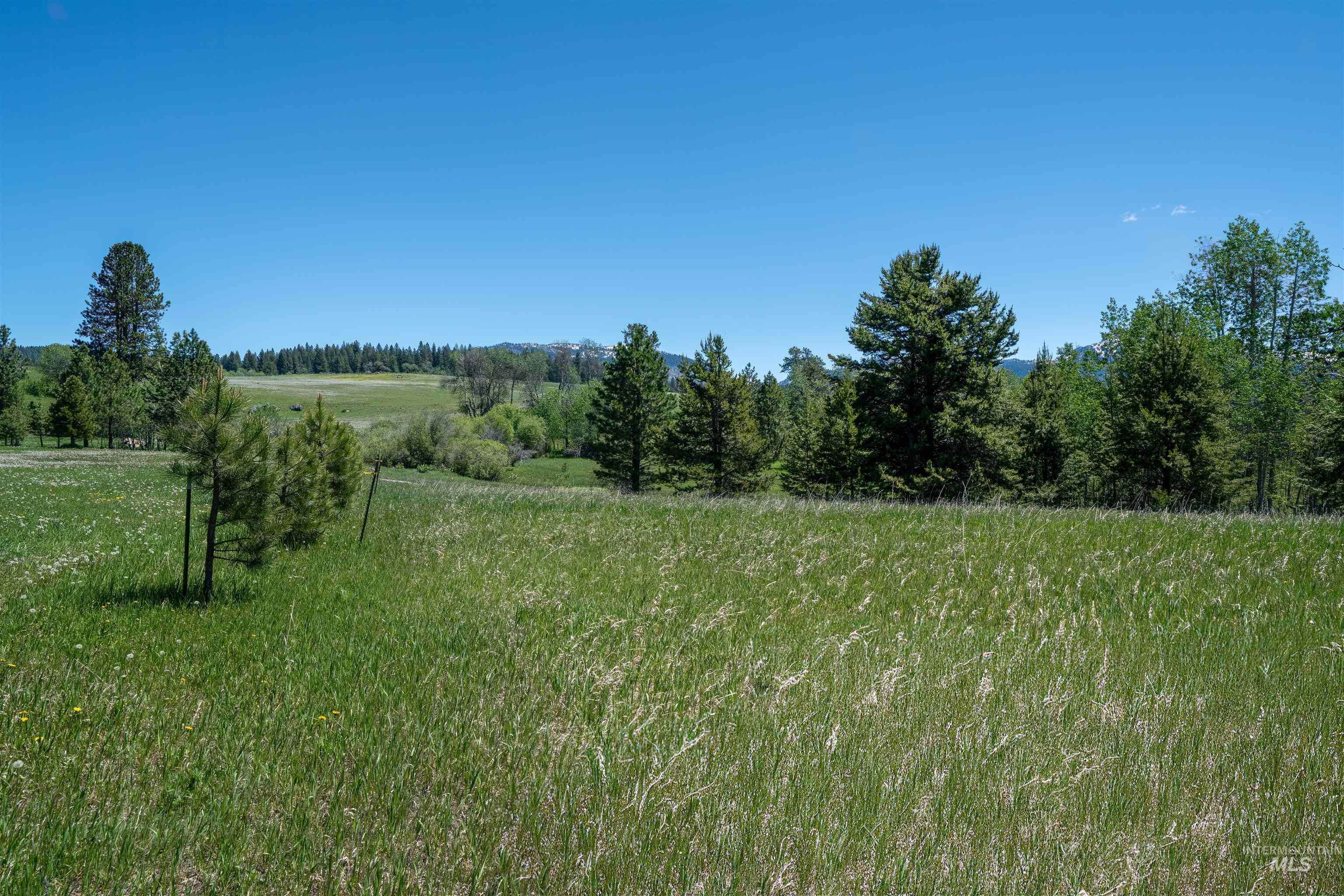 14128 Jefferson Road McCall, ID 83638 - Photo 4 of 14