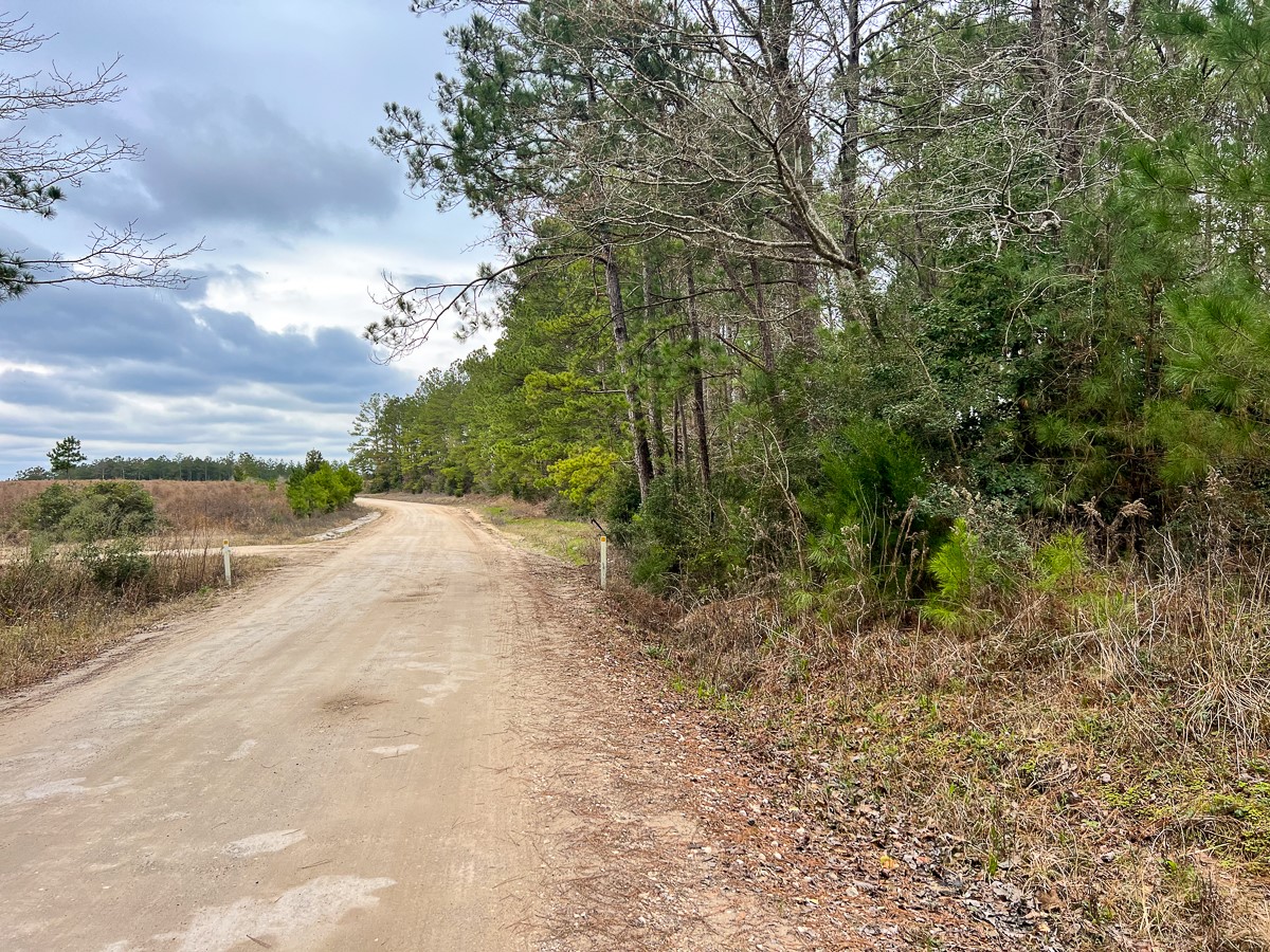 1 B Hardin Hideout Road Moscow, TX 75960 - Photo 11 of 14