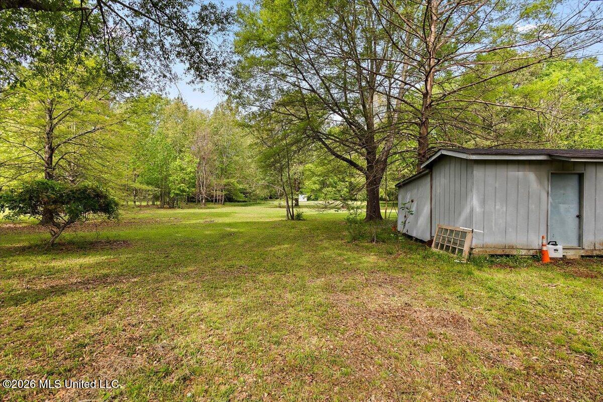 6126 Kaybrook Drive Byram, MS 39272 - Photo 23 of 23 Back Yard