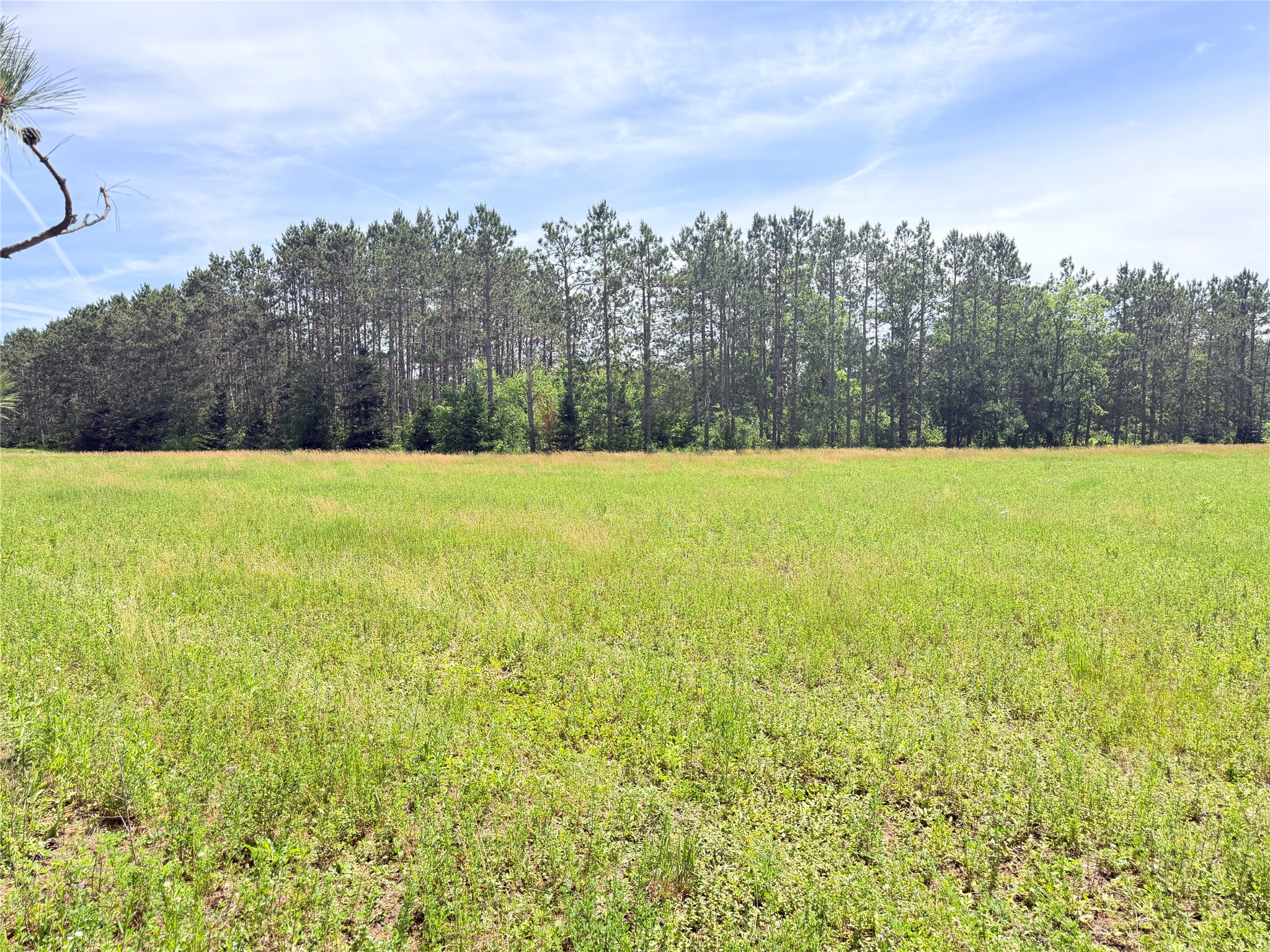 0 Boat Landing Road Ladysmith, WI 54848 - Photo 14 of 22