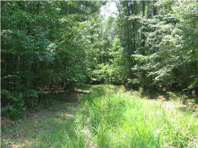 40 Smith Road Carthage, MS 39051 - Photo 1 of 4 Photo 1