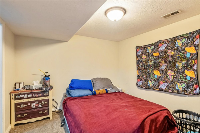 316 Azure Circle Draper, UT 84020 - Photo 41 of 48 Carpeted room with a ceiling-mounted light fixture, sloped ceiling detail, and painted walls