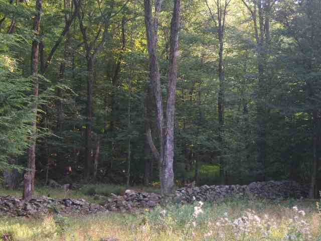 211 Foster Road Grafton, NY 12052 - Photo 5 of 7 Photo 5