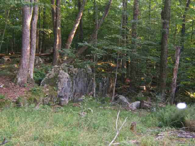211 Foster Road Grafton, NY 12052 - Photo 6 of 7 Photo 6