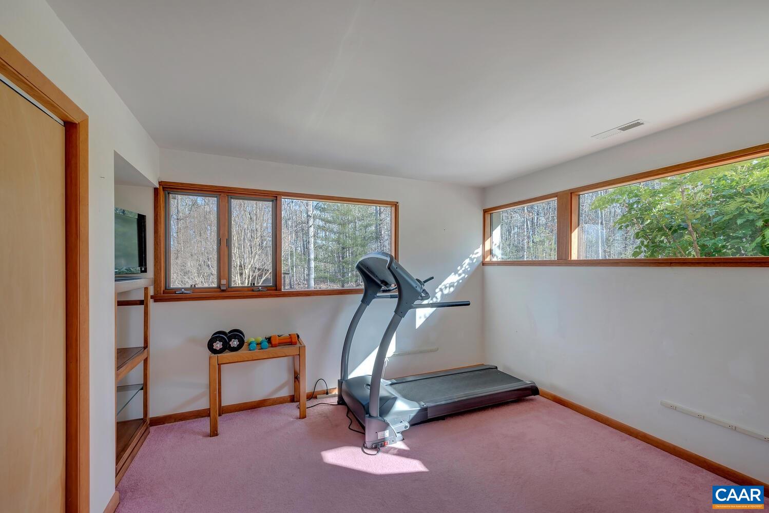 2706 Paddock Wood Road Keswick, VA 22947 - Photo 29 of 42 a view of a room with gym equipment