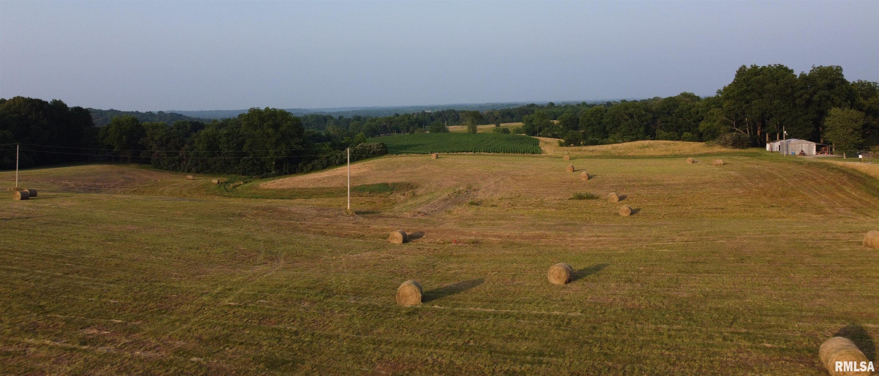 Tbd Alto Pass Road Pomona, IL 62975 - Photo 3 of 10