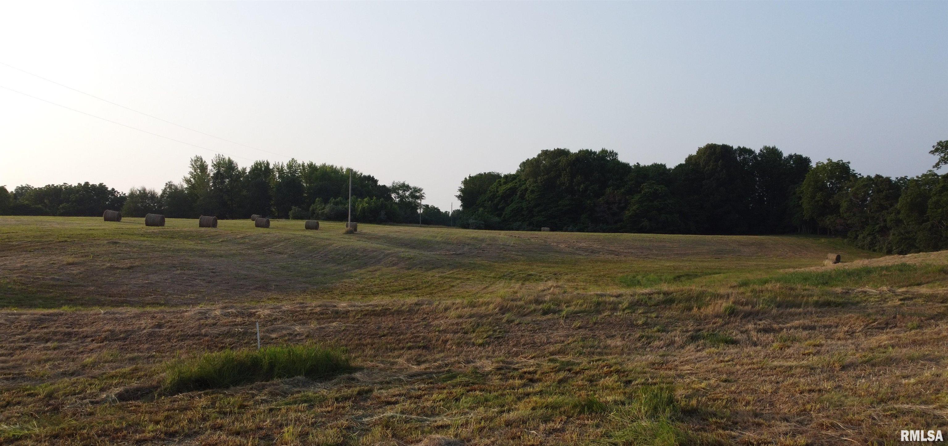 Tbd Alto Pass Road Pomona, IL 62975 - Photo 7 of 10