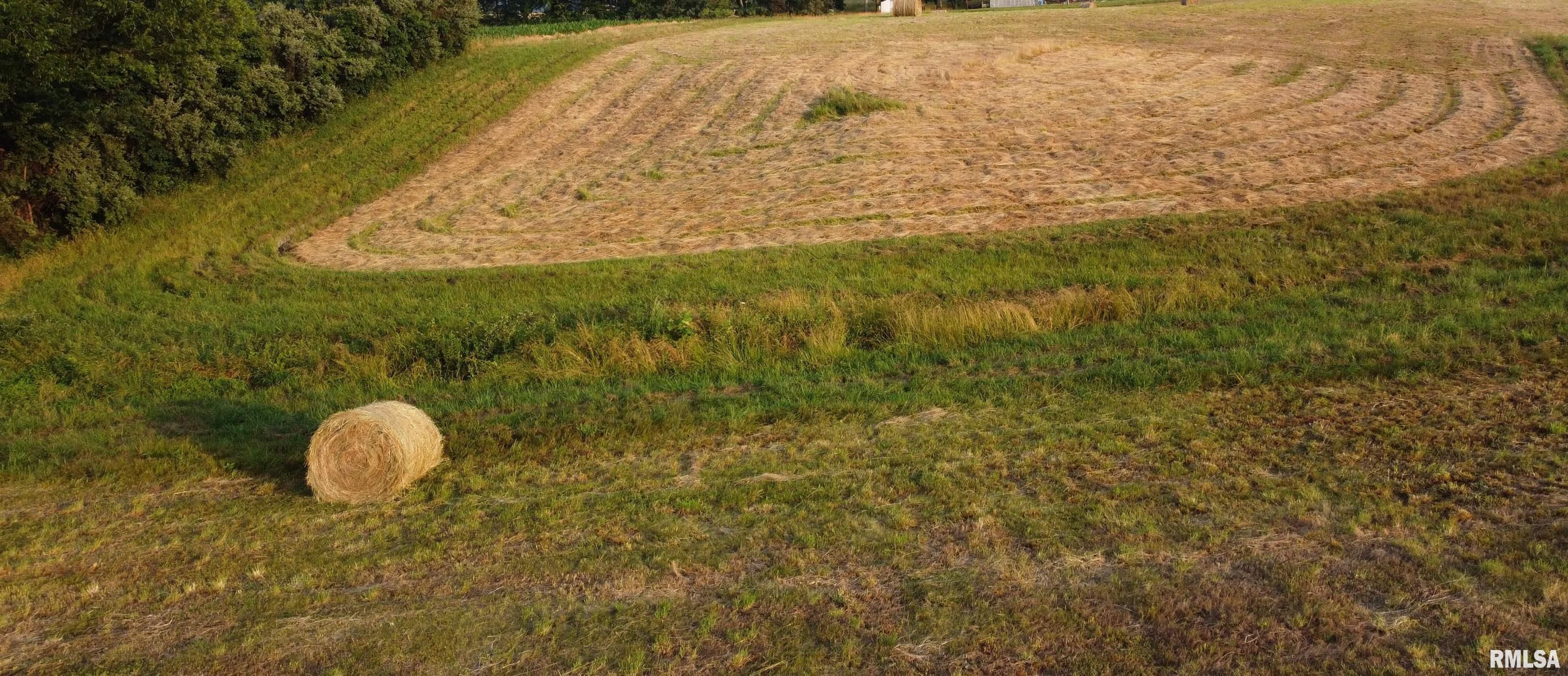 Tbd Alto Pass Road Pomona, IL 62975 - Photo 10 of 10