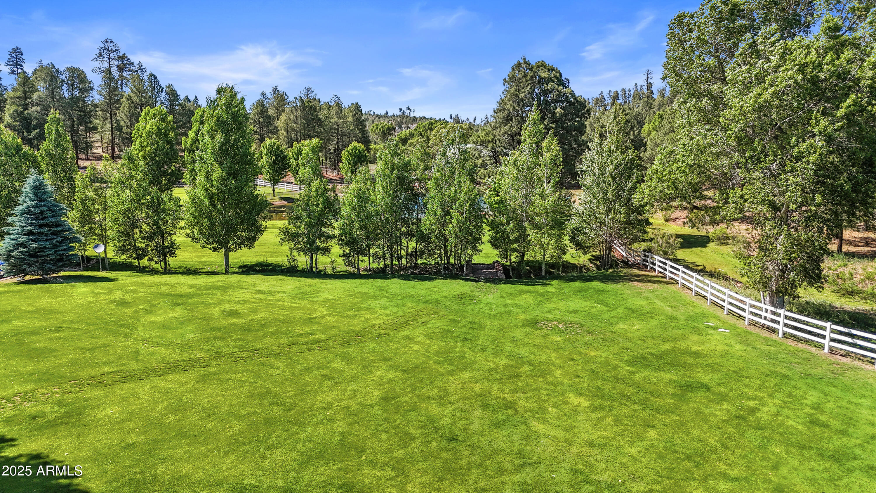 1613 Black Canyon Road Heber, AZ 85928 - Photo 77 of 98 a view of a yard with a tree