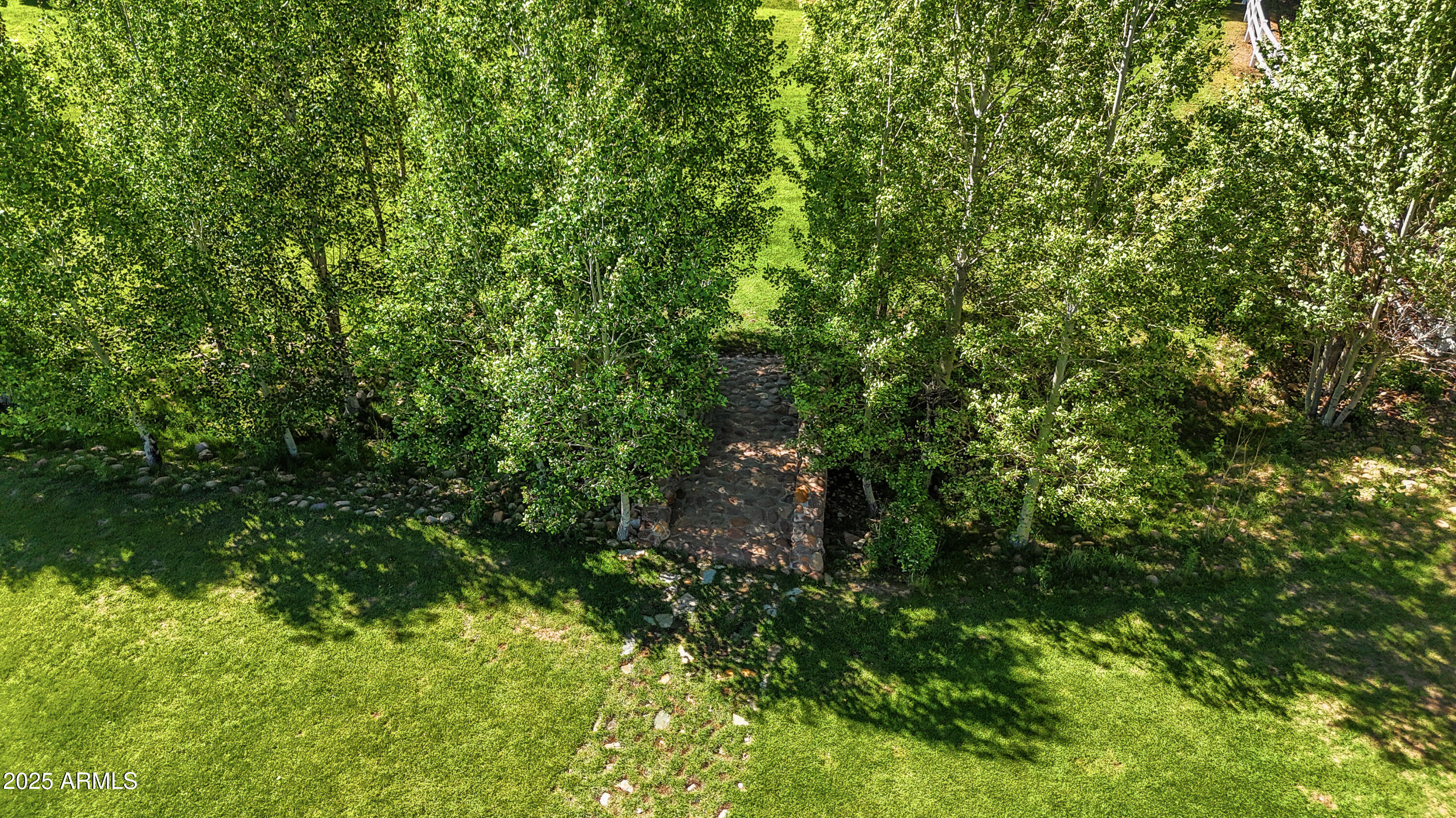 1613 Black Canyon Road Heber, AZ 85928 - Photo 78 of 98 a view of a lush green forest