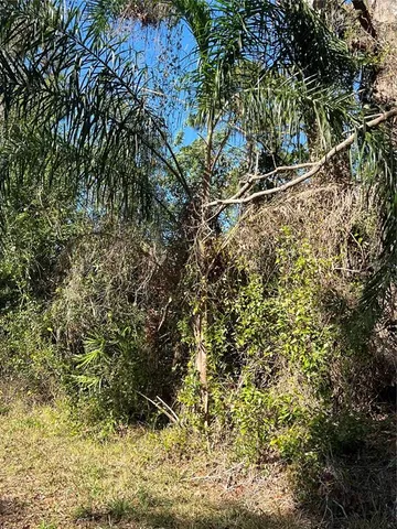 $19,900 | 510 Callandra Drive, Indian Lake Estates, FL 33843