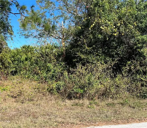 a view of a yard