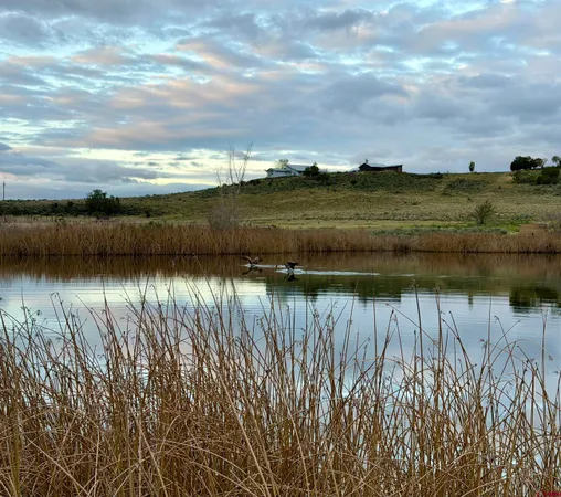 $1,100,000 | 22363 Highway 184, Lewis, CO 81327