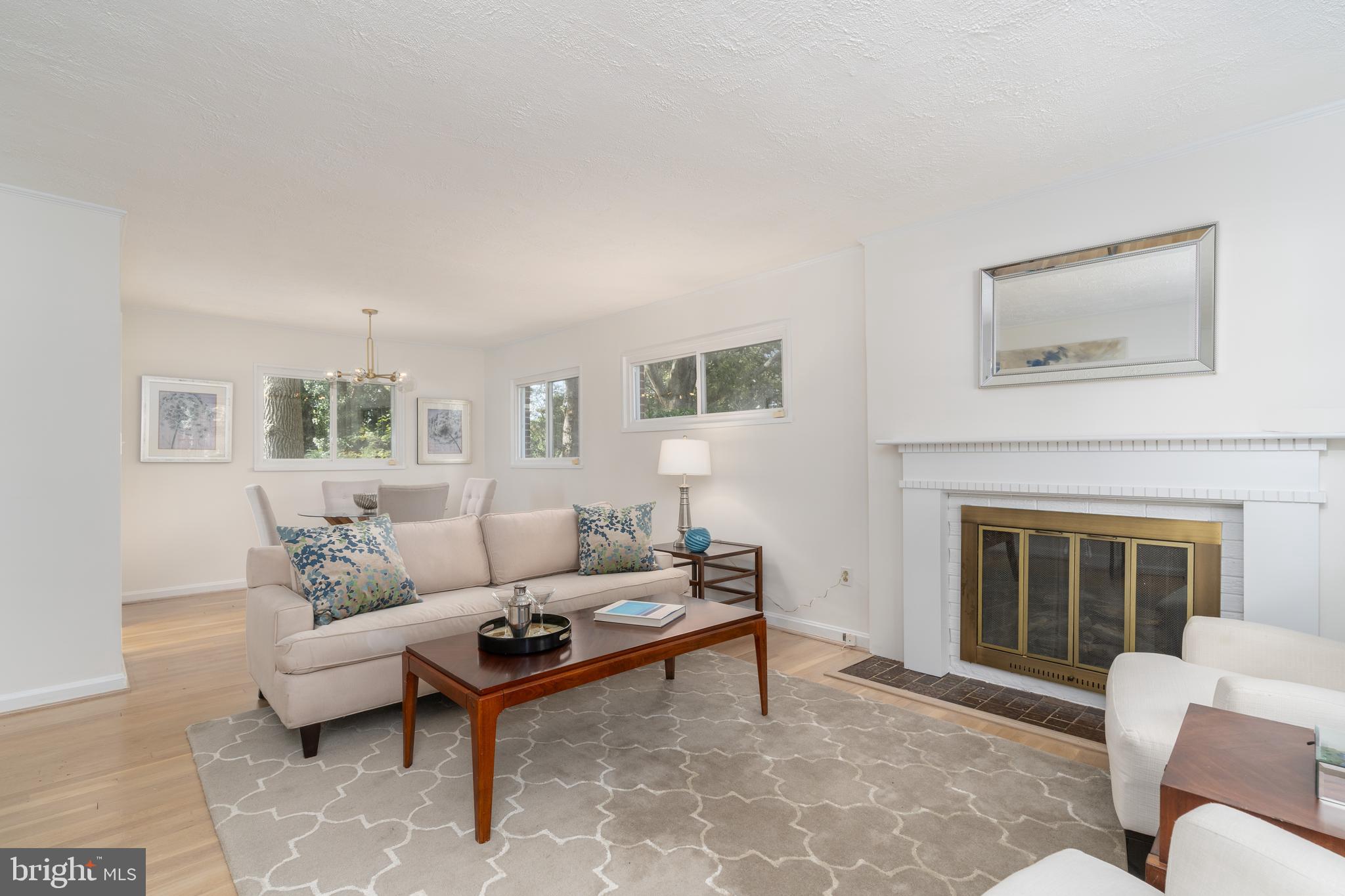 180 Cambridge Road Alexandria, VA 22314 - Photo 4 of 40 Gas fireplace