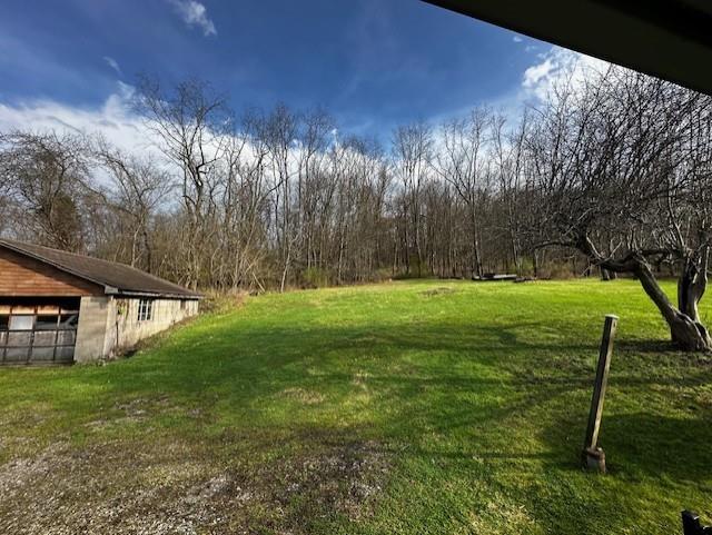 2440 Race Track Road Youngwood, PA 15697 - Photo 29 of 29 a view of yard with green space
