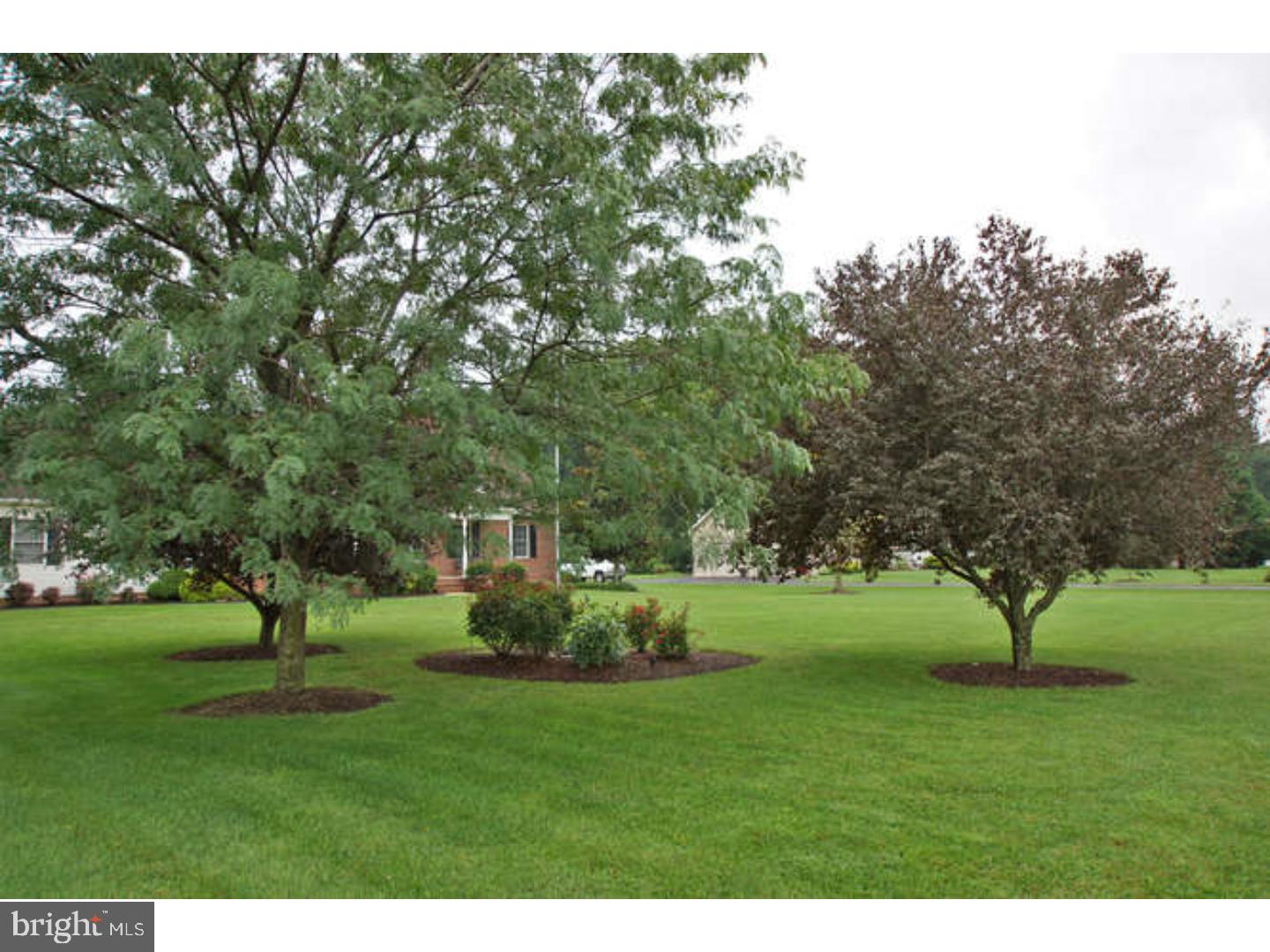 580 Fox Chase Road Felton, DE 19943 - Photo 3 of 25 Gallery Image 3