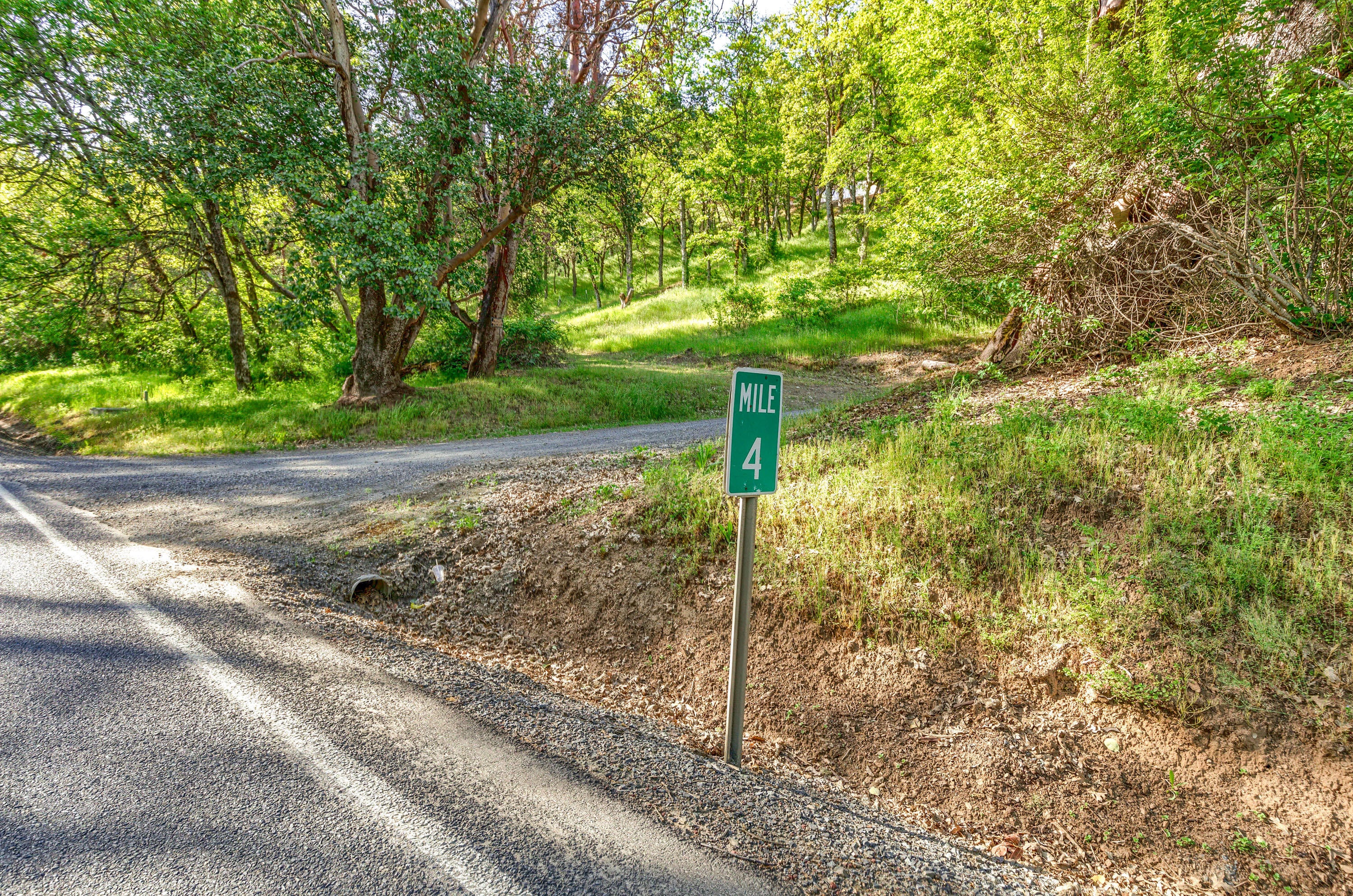 3852 North River Road Gold Hill, OR 97525 - Photo 33 of 39 Driveway Entrance