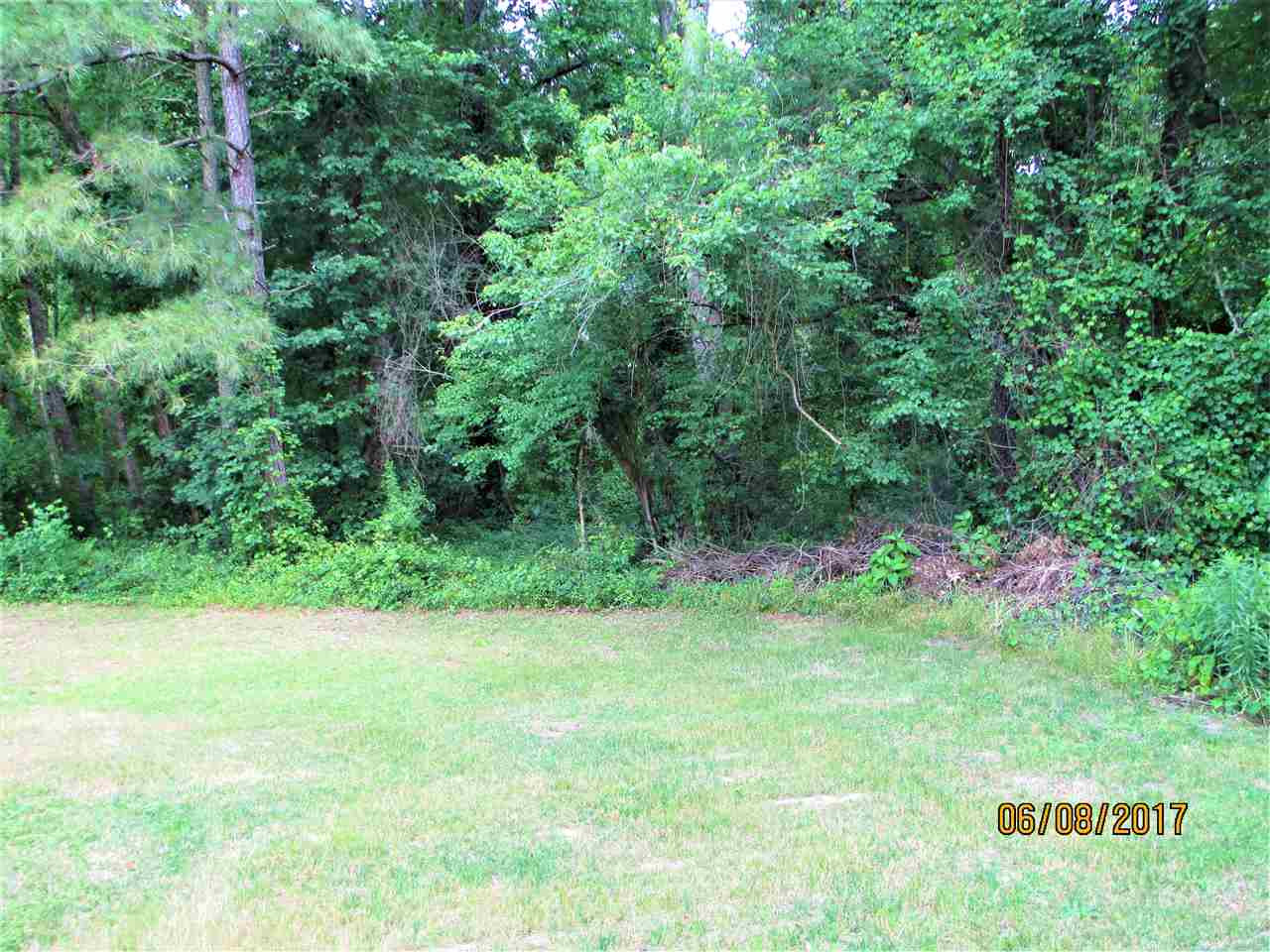1200 White Memorial Church Road Willow Spring, NC 27592 - Photo 10 of 25 Lush Backyard!