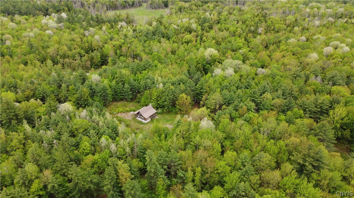 0 Cotton Road Carthage, NY 13619 - Photo 8 of 48