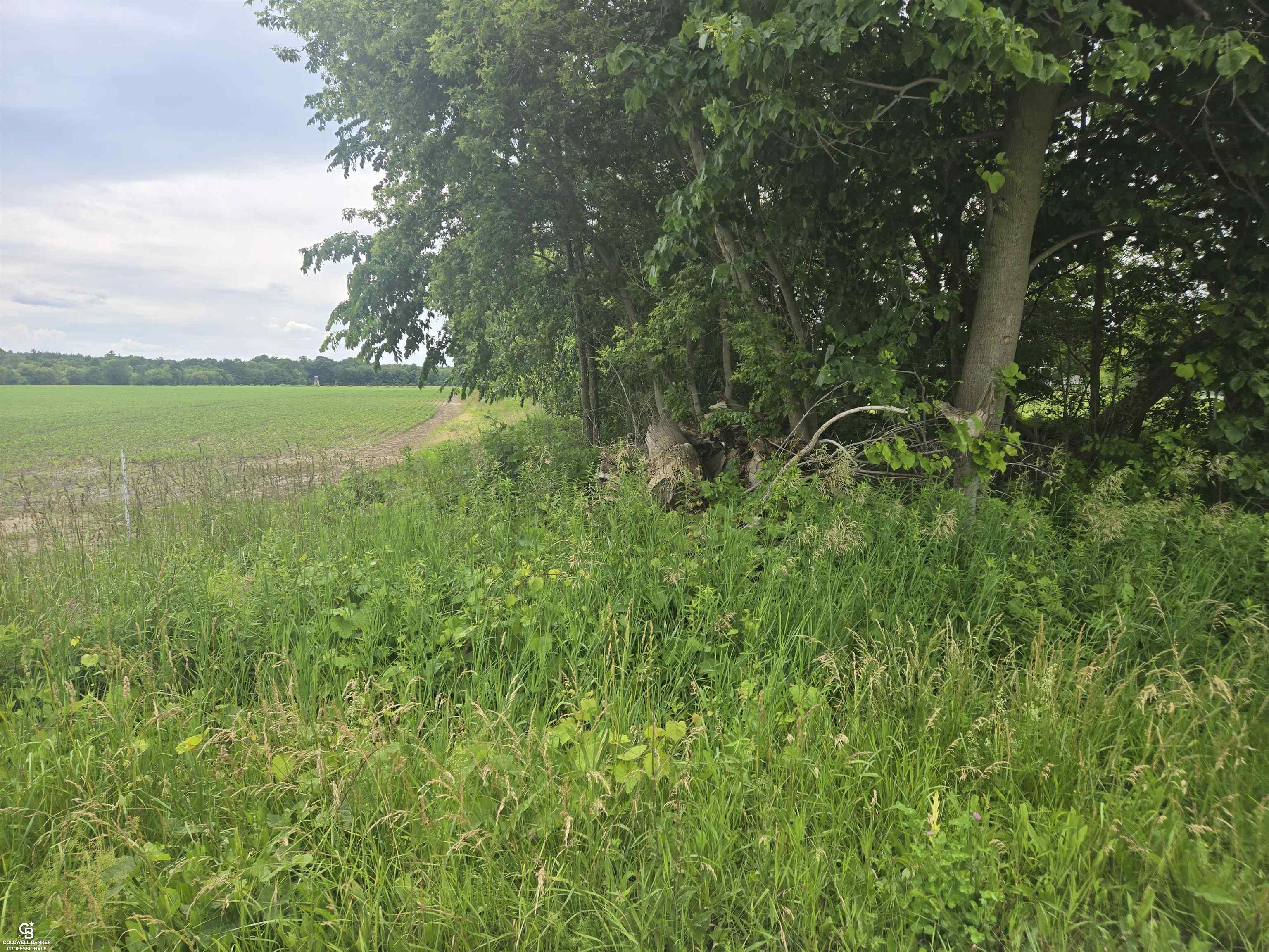0 Imlay City Vl Road Avoca, MI 48006 - Photo 15 of 18
