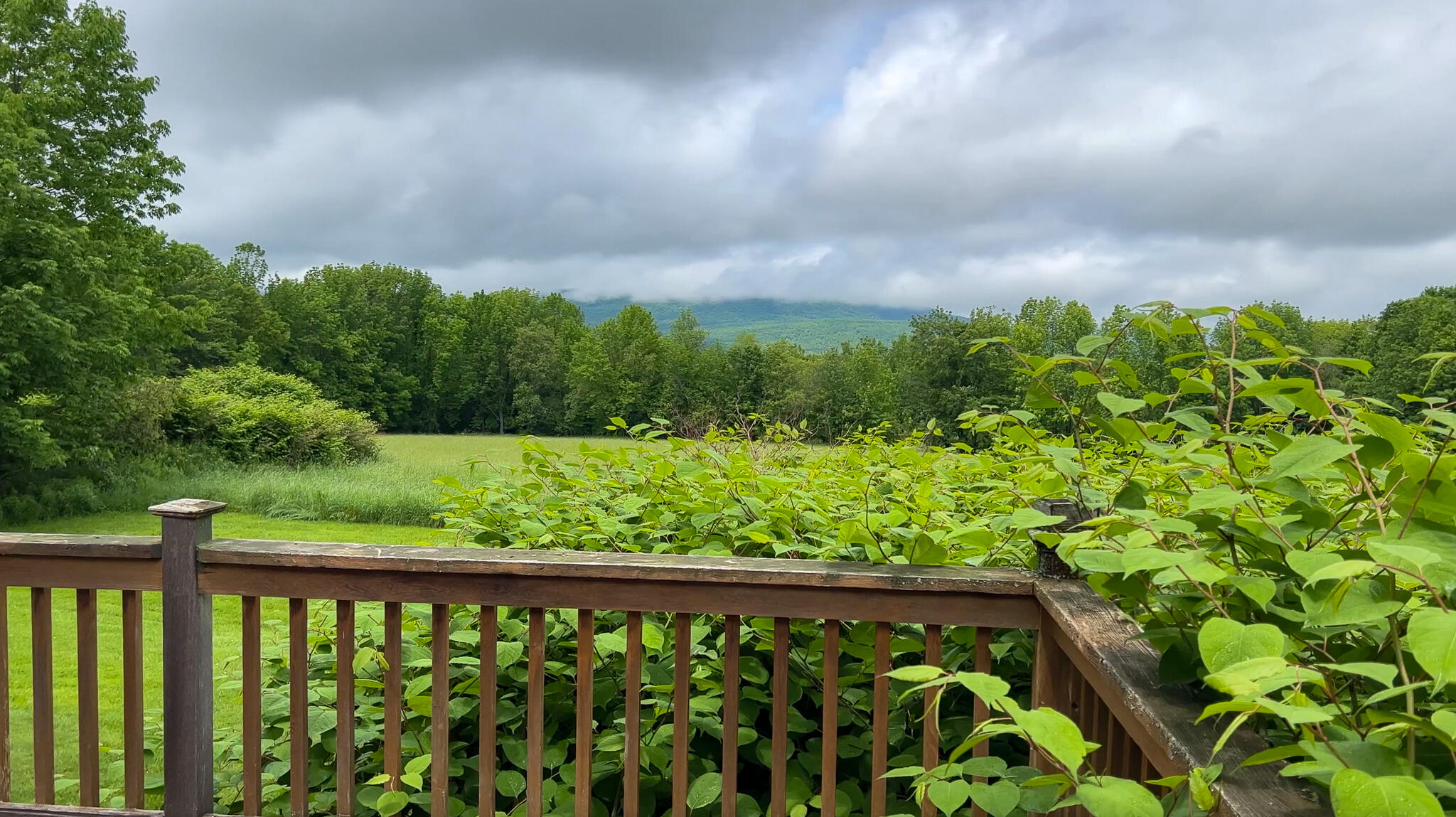 45 Barrett Road Sumner, ME 04292 - Photo 11 of 45 From the Back Deck