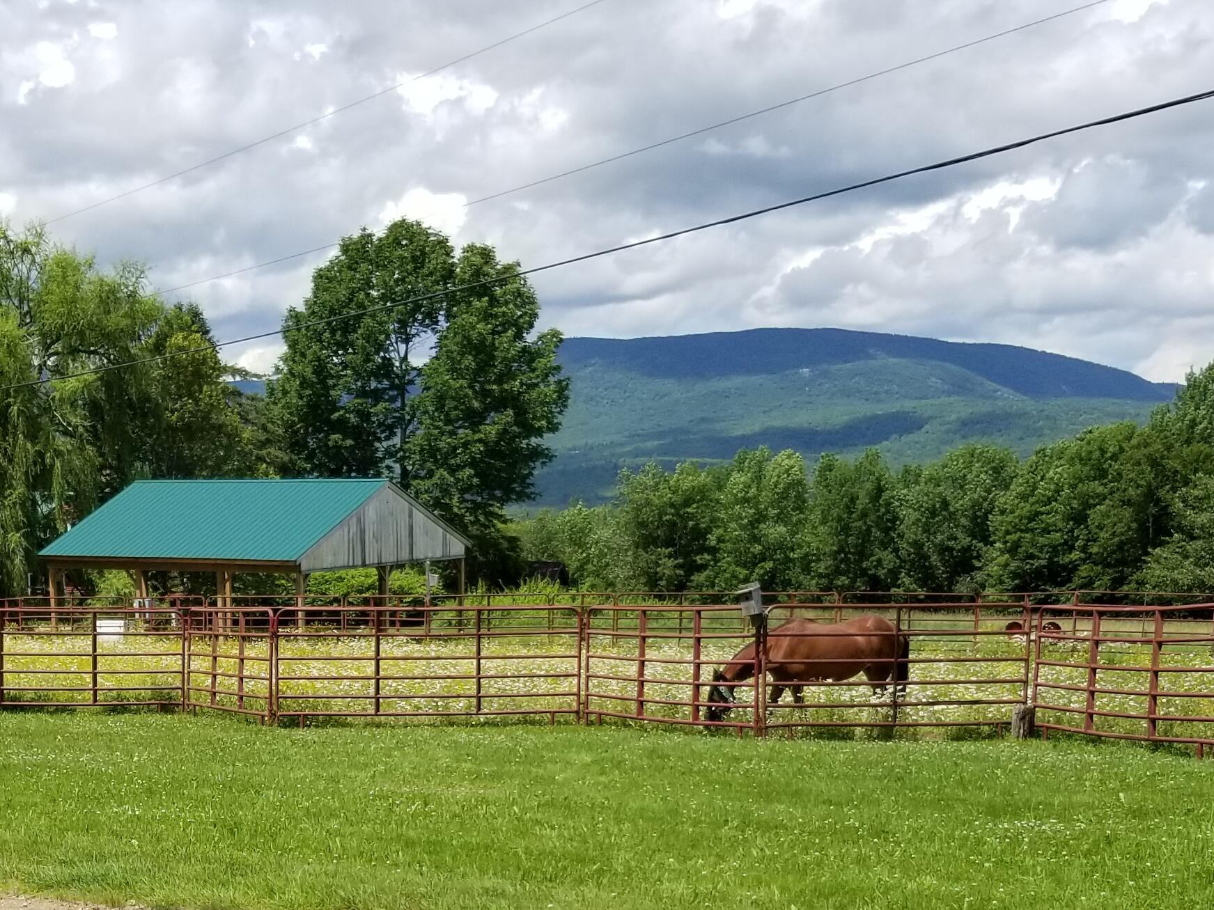 45 Barrett Road Sumner, ME 04292 - Photo 2 of 45 Turn out and pavillion
