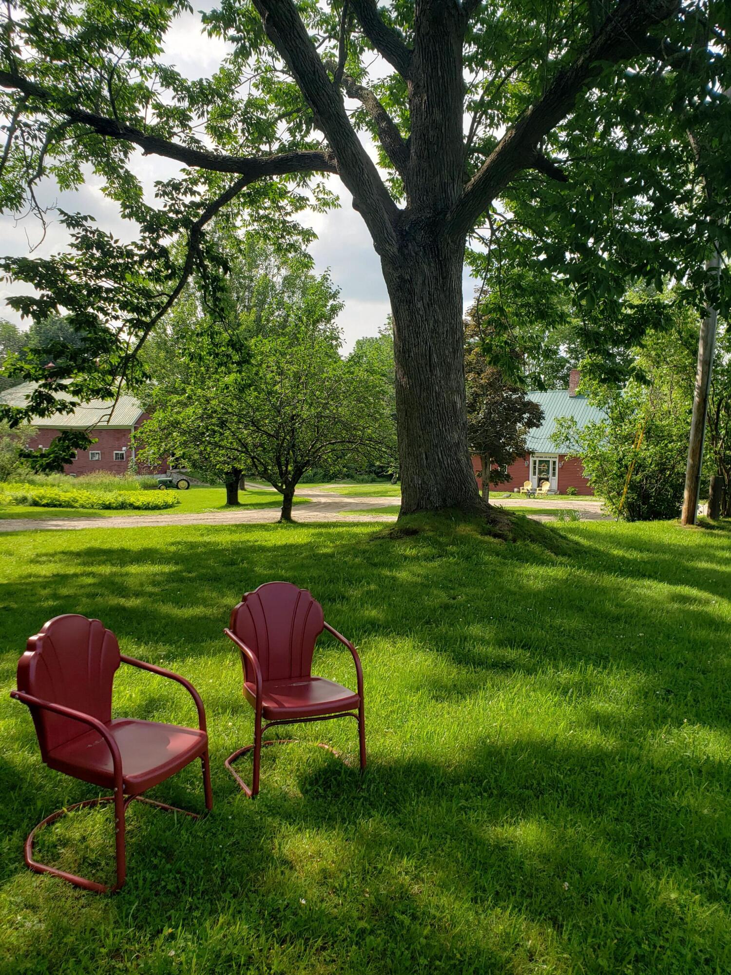 45 Barrett Road Sumner, ME 04292 - Photo 30 of 45 In the Yard