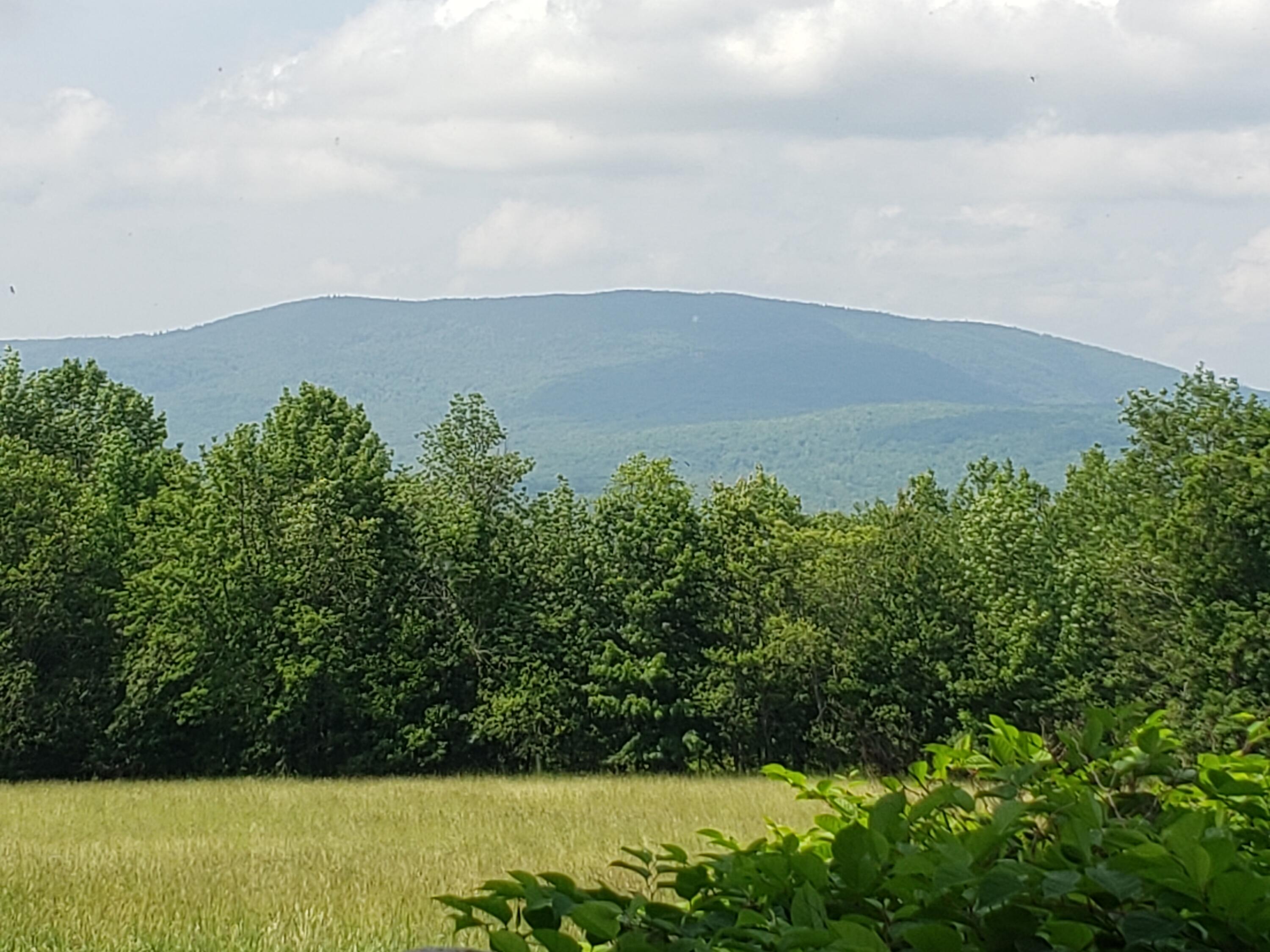 45 Barrett Road Sumner, ME 04292 - Photo 9 of 45 Looking out the back of the home