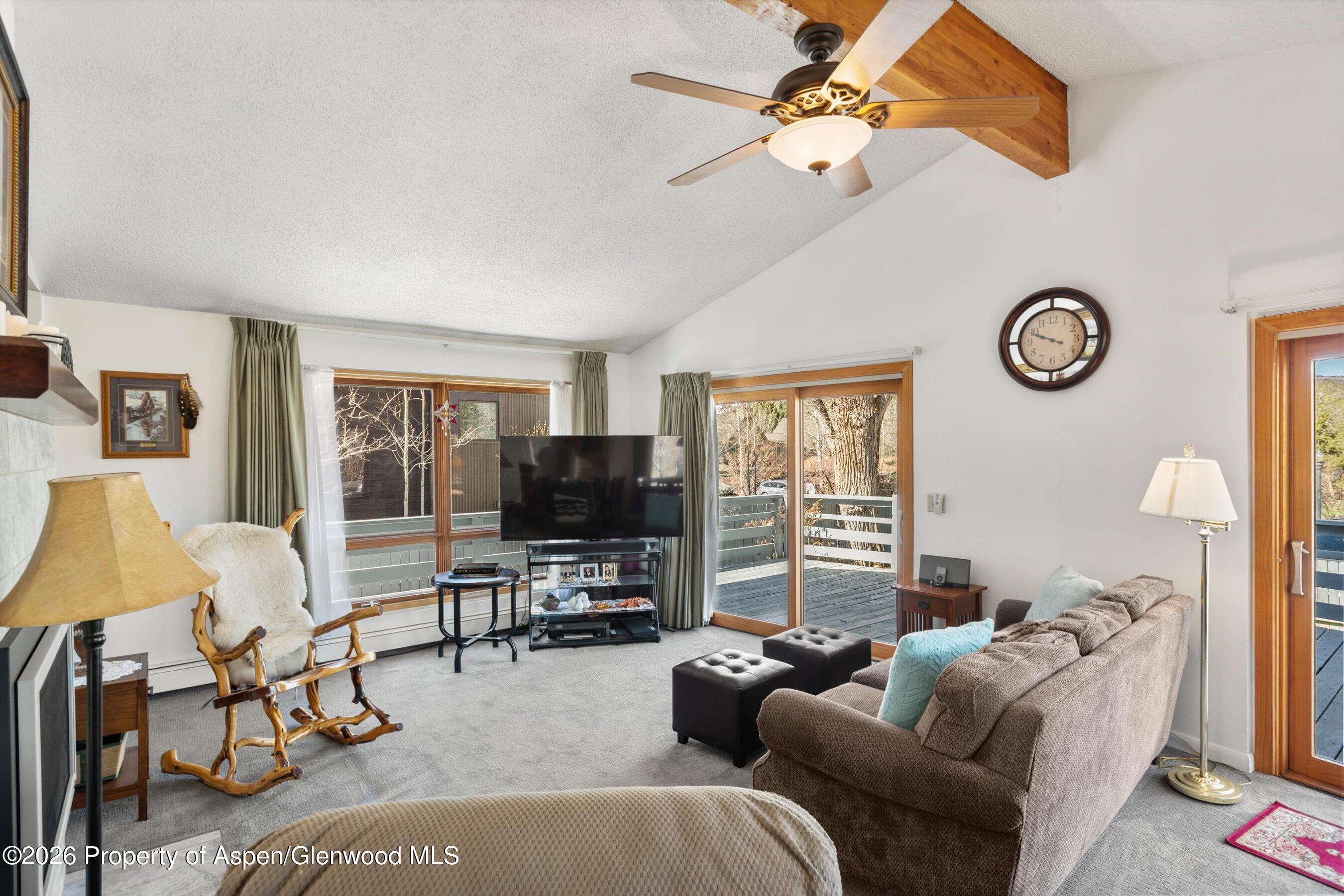 53 Spruce Street, Unit S 1 AND 2 Aspen, CO 81611 - Photo 6 of 67 05-05-534SpruceSt_250429005