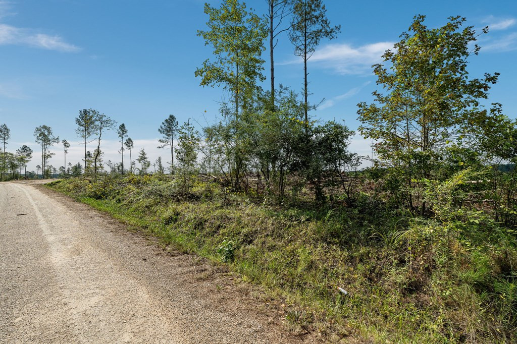 9 Lucas Hollow Road Mount Olive, MS 39119 - Photo 4 of 6 Photo 4
