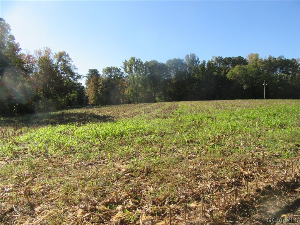 14712 Brick Road Carson, VA 23830 - Photo 4 of 5 a backyard of a house with lots of green space