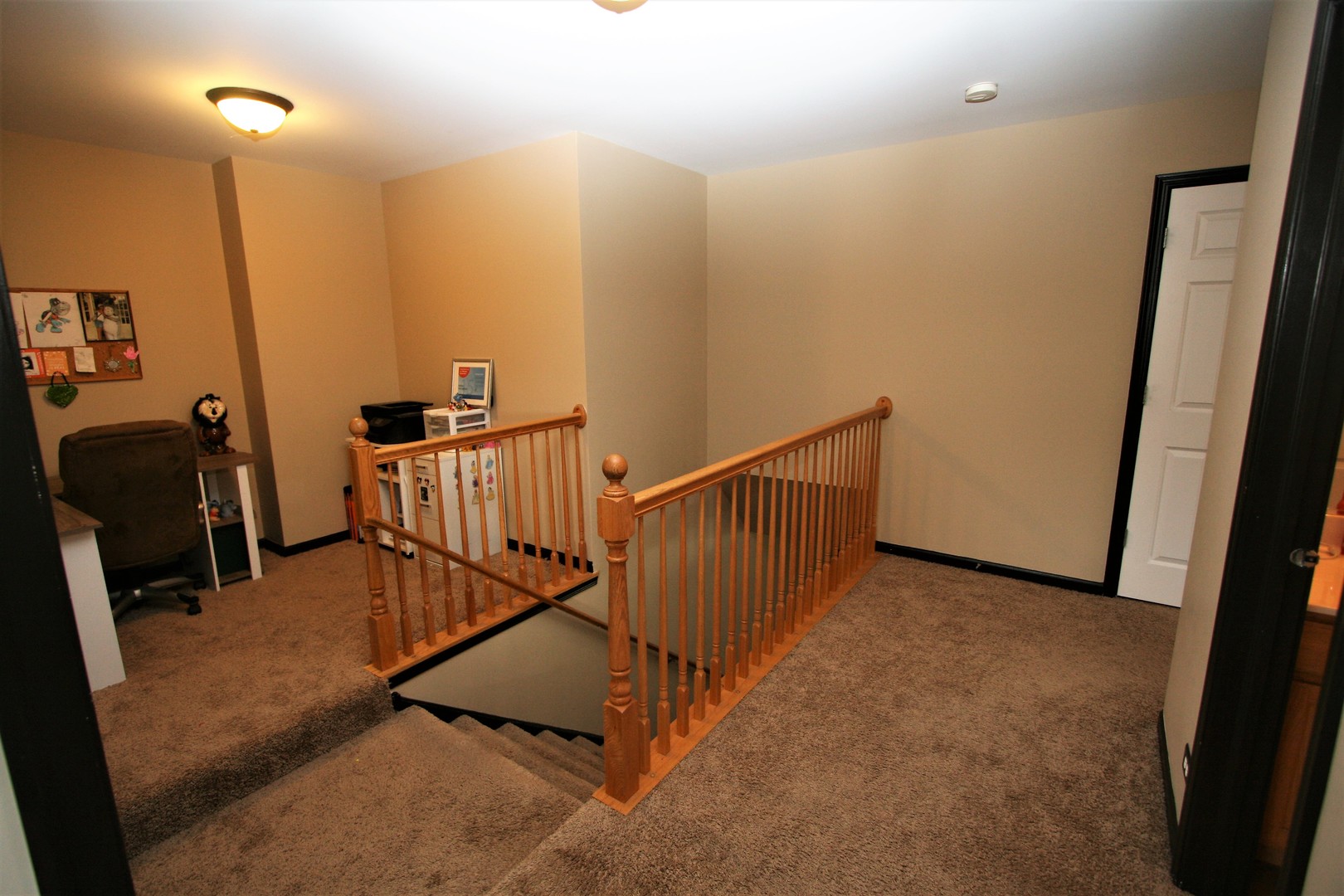 540 Rivers Edge Drive Minooka, IL 60447 - Photo 21 of 32