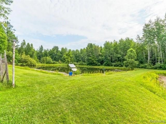 60 Ritchie Road Gladwin, MI 48624 - Photo 6 of 25