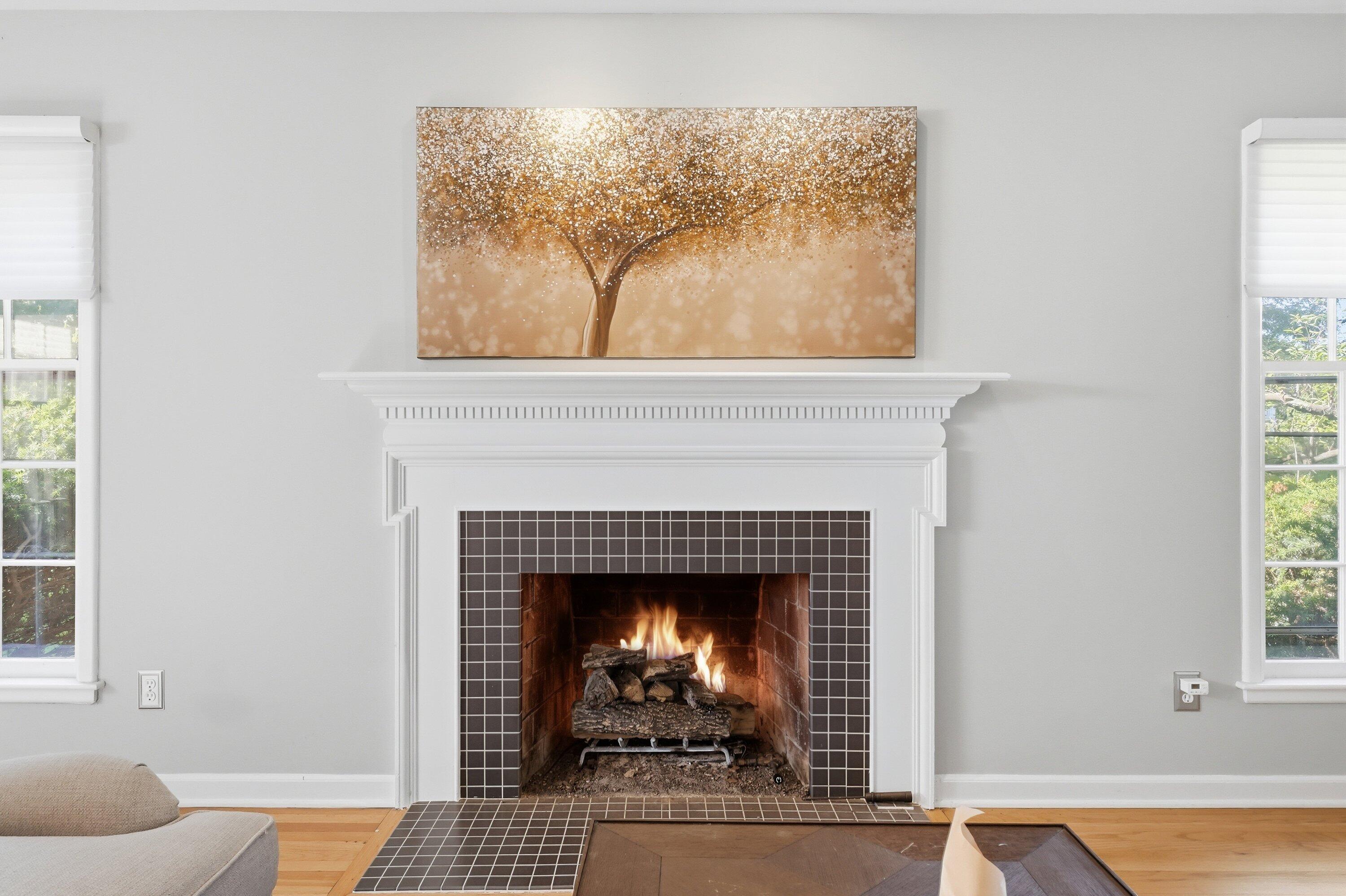 700 Avon Road Ann Arbor, MI 48104 - Photo 9 of 33 Fireplace