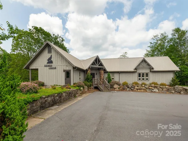 a view of a big yard with potted plants and large trees