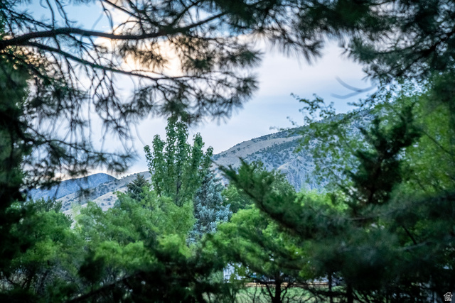 435 Canyon Road Millville, UT 84326 - Photo 52 of 113 Mature trees and varied foliage frame a distant mountainous landscape under a light blue sky