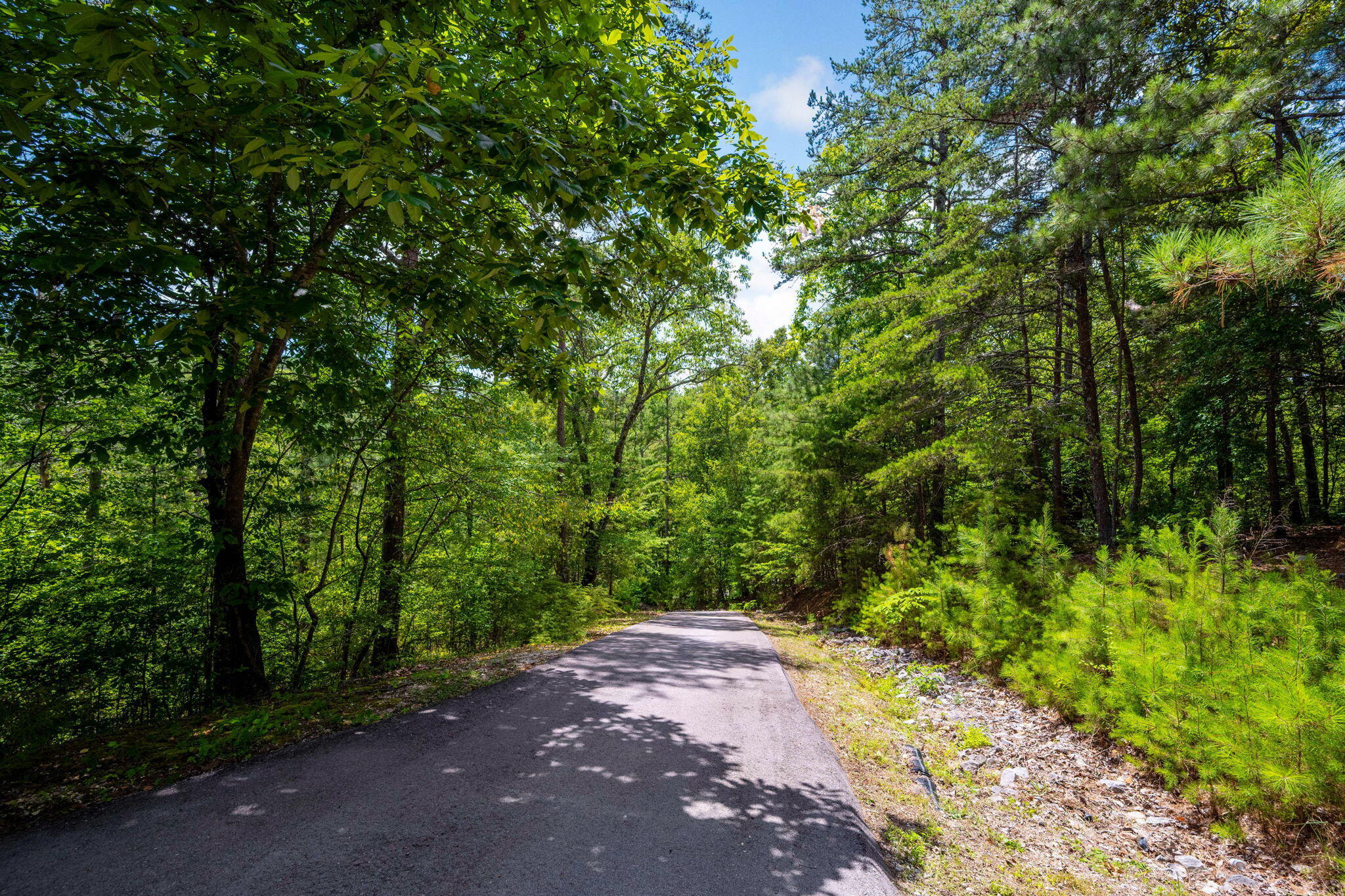 288 5 Points Road Dayton, TN 37321 - Photo 45 of 45 42-web-or-mls-DSC_9964