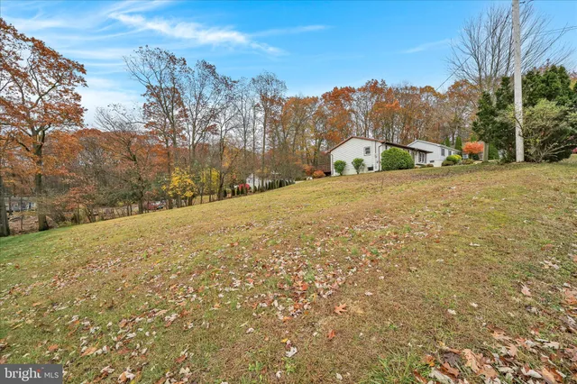 a view of large tree with green space