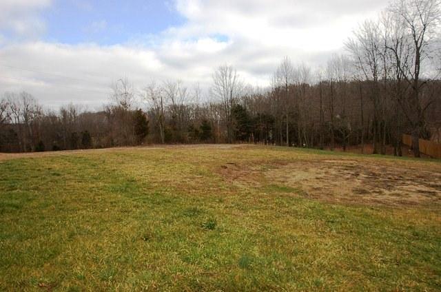248 Hester Road Portland, TN 37148 - Photo 7 of 12 Huge backyard on corner lot