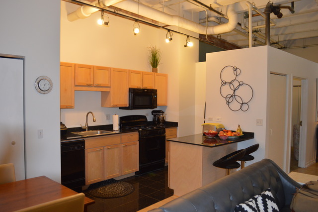 20 North State Street, Unit 403 Chicago, IL 60602 - Photo 4 of 14
