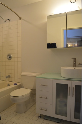 20 North State Street, Unit 403 Chicago, IL 60602 - Photo 7 of 14