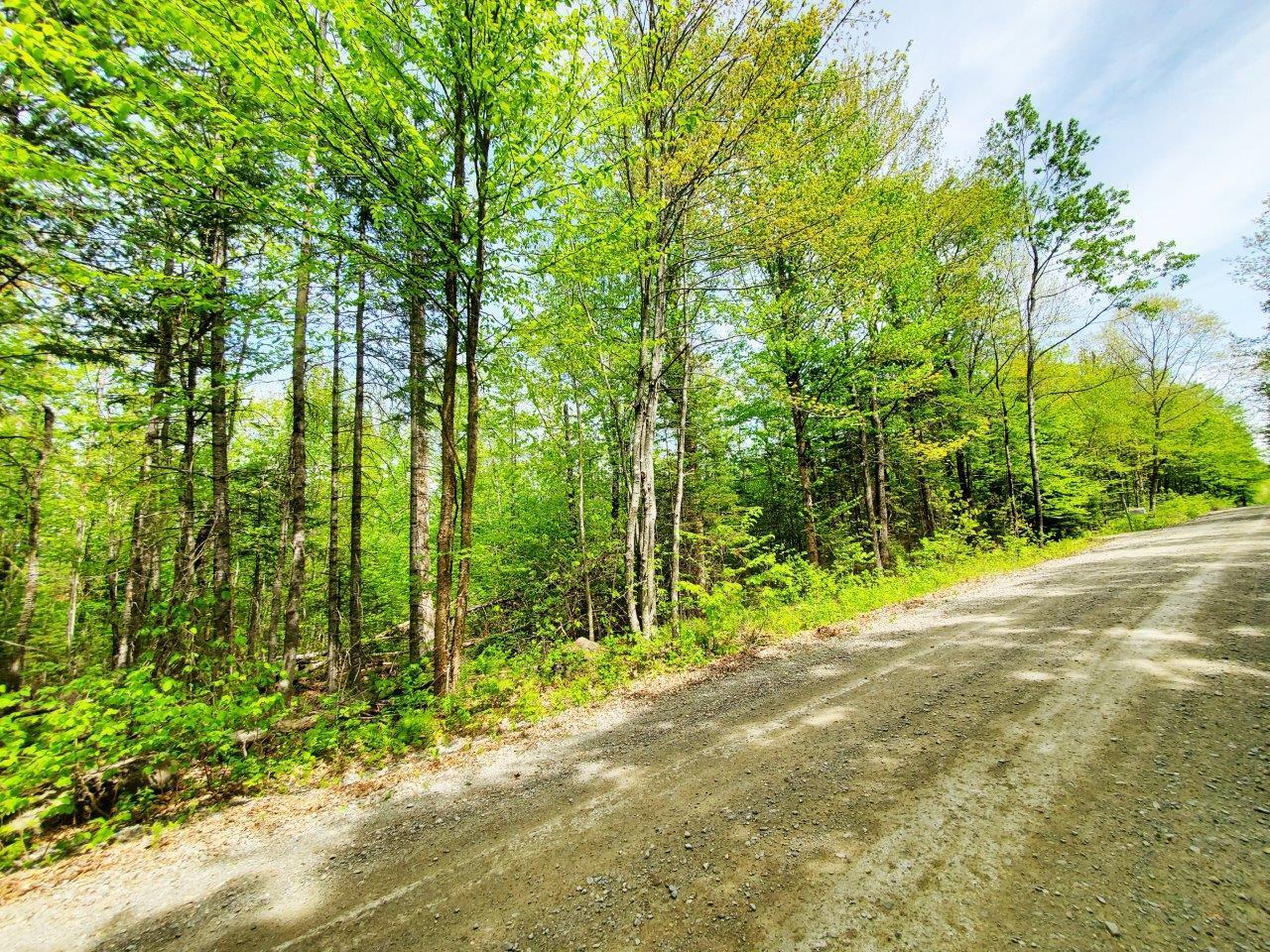 Lot 5 Maple Road Milo, ME 04463 - Photo 19 of 20 20260523_135602 adj