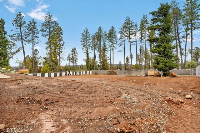 a row of palm trees with a yard