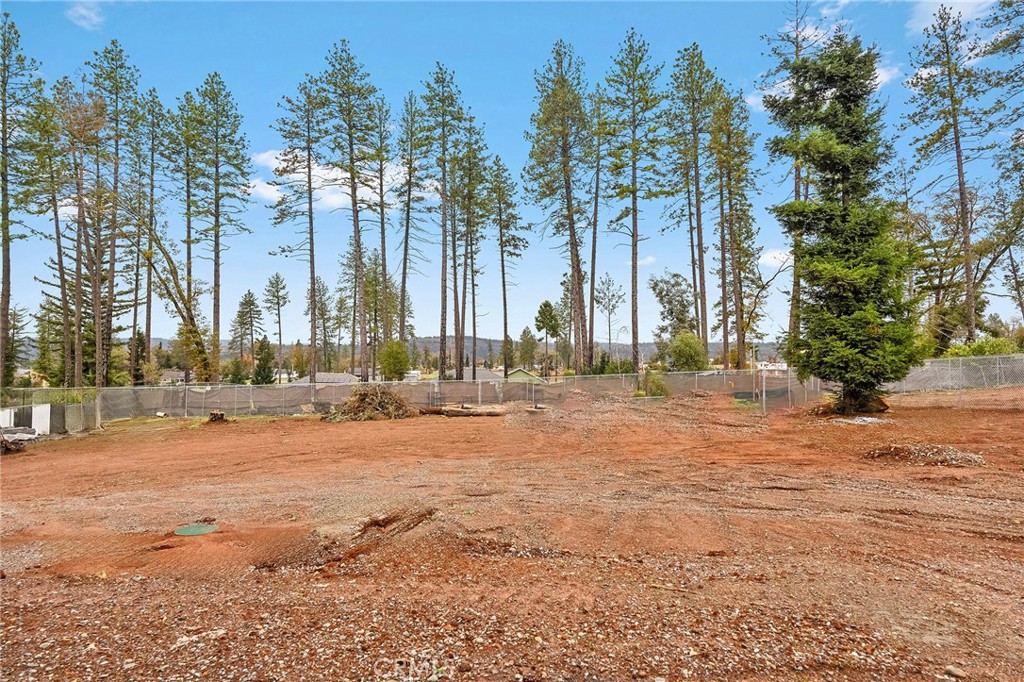 707 Madrone Way Paradise, CA 95969 - Photo 39 of 47 a row of palm trees with a yard