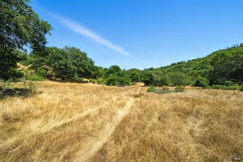 a view of a yard with a tree