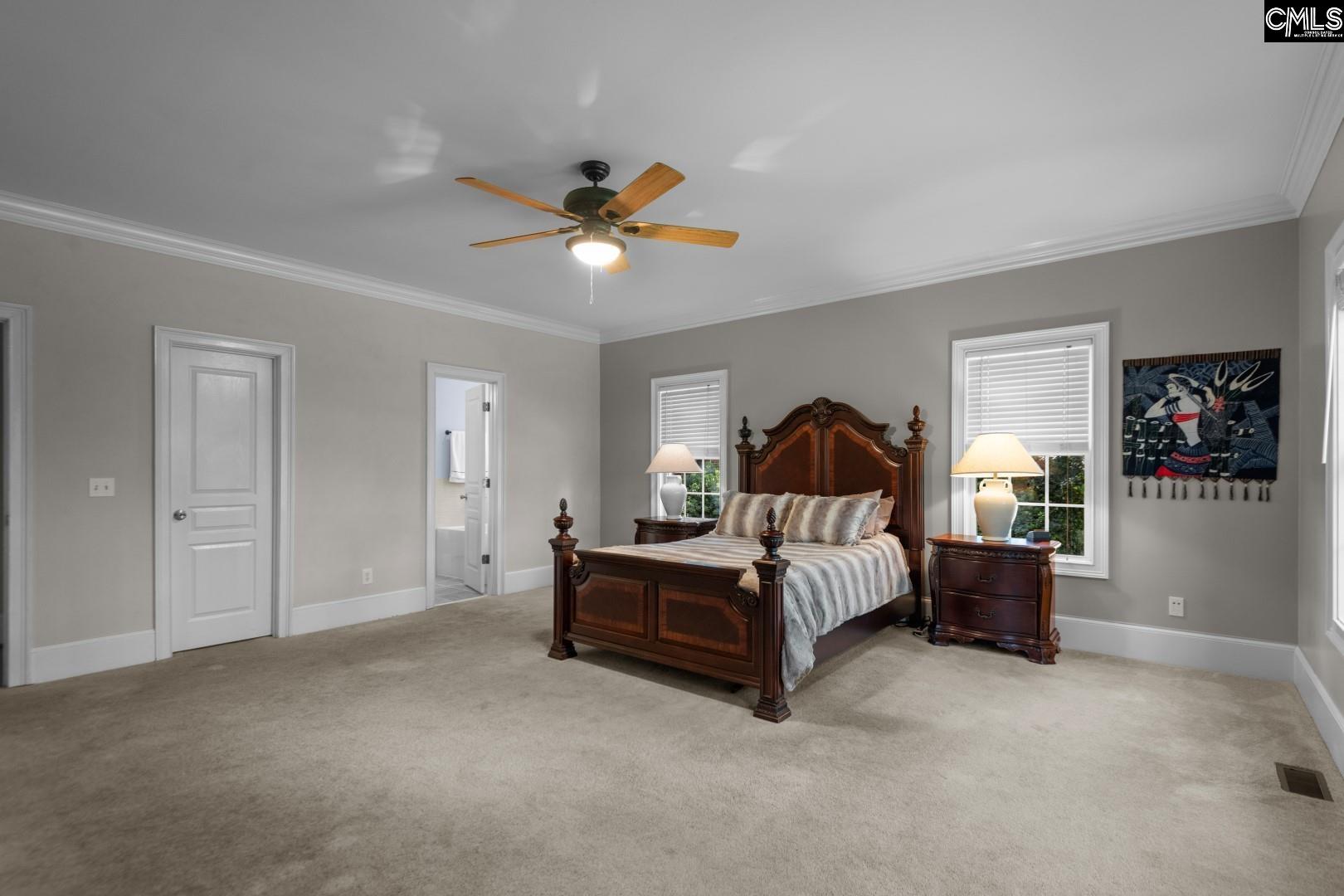 115 Pointe Overlook Drive Chapin, SC 29036 - Photo 20 of 45
