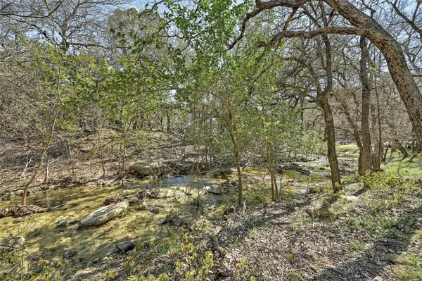 a view of a yard with plants and trees